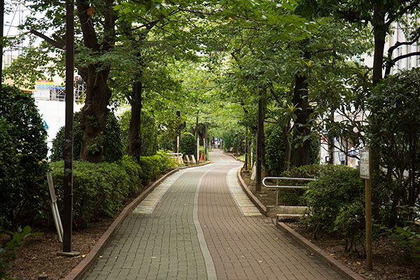 学校風景